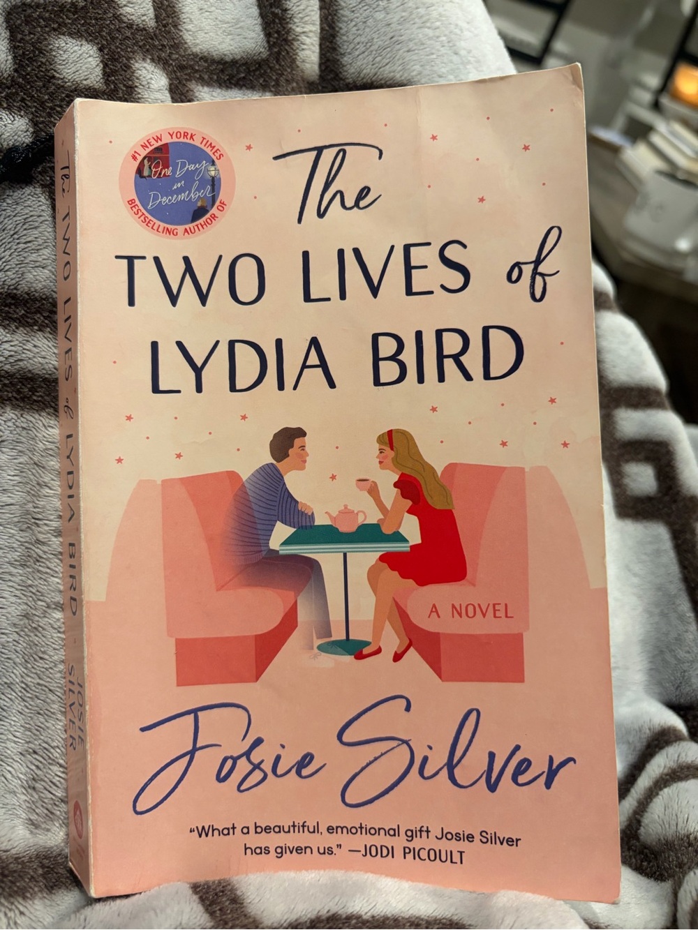 Pink Novel 'The Two Lives of Lydia Bird'